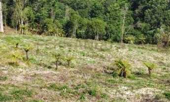 Imagem: Sítio / Chácara para Venda no bairro Linha