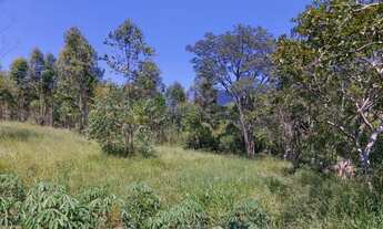 Imagem: Sítio / Chácara para Venda no bairro Zona