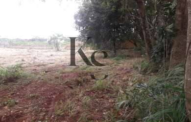 Imagem 4: Chácara à venda em Jardinópolis, 2.500,00m²