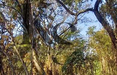 Imagem 3: Chácara para Venda em Ribeirão Preto / SP no bairro Recreio Internacional