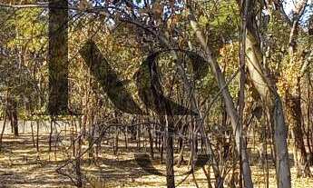 Imagem 4: Chácara para Venda em Ribeirão Preto / SP no bairro Recreio Internacional