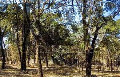 Imagem 5: Chácara para Venda em Ribeirão Preto / SP no bairro Recreio Internacional