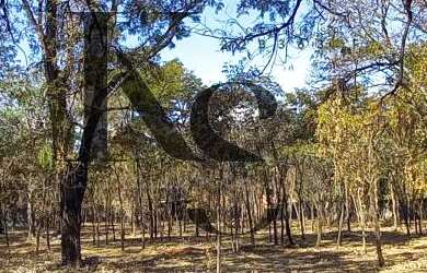 Imagem 6: Chácara para Venda em Ribeirão Preto / SP no bairro Recreio Internacional