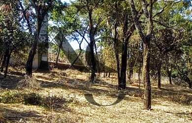 Imagem 7: Chácara para Venda em Ribeirão Preto / SP no bairro Recreio Internacional