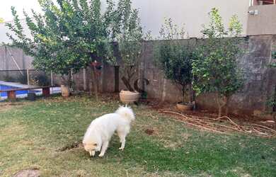 Imagem 6: Casa para Venda em Ribeirão Preto / SP no bairro Jardim Califórnia