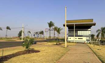 Imagem 3: Terreno Empresarial BR153 com 850m2 Prox da portaria