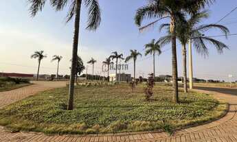 Imagem 7: Terreno Empresarial BR153 com 850m2 Prox da portaria