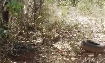 Imagem 7: Sítio à venda em Montes Claros, Área Rural de Montes Claros, com 3 quartos, 1500m²