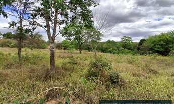 Imagem: TERRENO RURAL 5.264 m² - / ANTÔNIO OLINTO