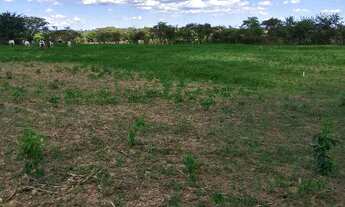 Imagem: Terrenos a partir de 1000 m², Estrada da