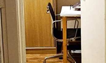 Imagem 7: Lindo Apartamento no Horto do Ypê - 60m² 2 quartos e 1 vaga. Lazer Completo. Pronto para M