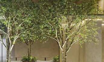 Imagem 6: Studio com 1 quarto, 24m², à venda em São Paulo, Vila Mariana