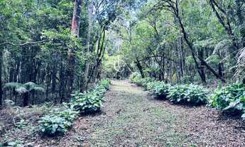 Imagem 4: Chácara à venda em Piraquara, com 2 quartos, 46170m²