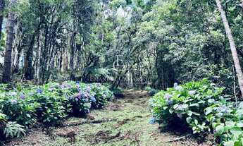 Imagem 5: Chácara à venda em Piraquara, com 2 quartos, 46170m²