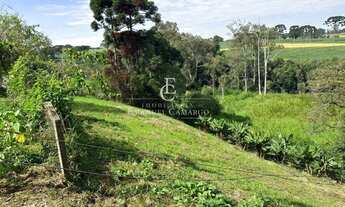 Imagem 6: Chácara à venda em Piraquara, Vila Santa Maria, com 2 quartos, 3960m²