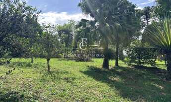 Imagem 5: Chácara à venda em Piraquara, Vila Santa Maria, com 2 quartos, 3960m²