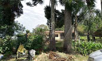 Imagem 3: Chácara à venda em Piraquara, Vila Santa Maria, com 2 quartos, 3960m²