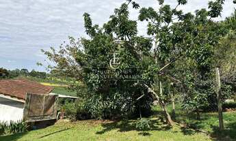 Imagem 4: Chácara à venda em Piraquara, Vila Santa Maria, com 2 quartos, 3960m²