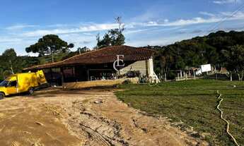 Imagem 7: Chácara à venda em Piraquara, Vila Santa Helena 3, com 2 quartos, 8000m²