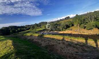 Imagem 2: Chácara à venda em Piraquara, Vila Santa Helena 3, com 2 quartos, 8000m²