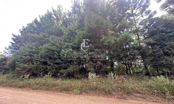 Imagem 4: Chácara à venda em Piraquara, Borda do Campo, 1985m²