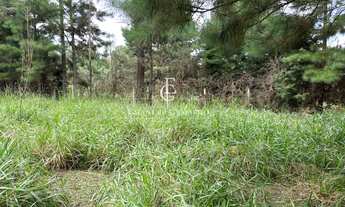Imagem 3: Chácara à venda em Piraquara, Borda do Campo, 1985m²