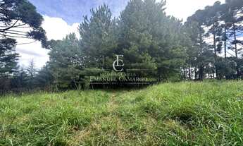 Imagem 2: Chácara à venda em Piraquara, Borda do Campo, 1985m²