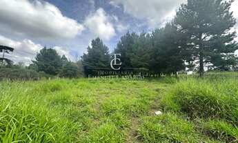 Imagem 6: Chácara à venda em Piraquara, Borda do Campo, 1985m²