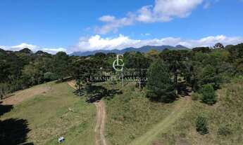 Imagem 4: Chácara à venda em Piraquara, Colonia Santa Maria, 30.219,80m²