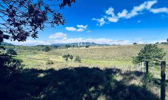 Imagem 7: Chácara à venda em Piraquara, Colonia Santa Maria, 30.219,80m²