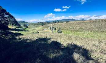 Imagem 6: Chácara à venda em Piraquara, Colonia Santa Maria, 30.219,80m²