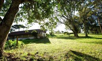 Imagem 6: Chácara à venda em Piraquara, Guarituba, 142.746,93m²