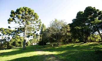 Imagem 5: Chácara à venda em Piraquara, Guarituba, 142.746,93m²