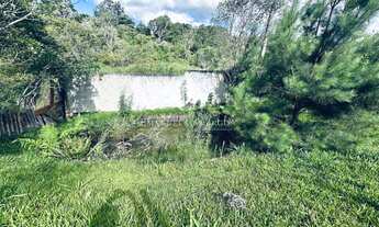 Imagem 7: Chácara à venda em Piraquara, Planta Granjas Eldorado, com 3 quartos, 45000m²