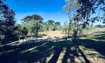 Imagem: Chácara à venda em Piraquara, Planta Granjas