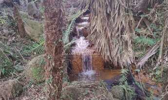 Imagem 5: Chácara à venda em Piraquara, RECREIO DA SERRA, 15000m²