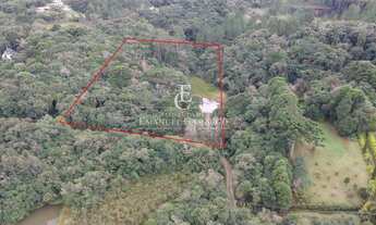 Imagem 3: Chácara à venda em Piraquara, RECREIO DA SERRA, 15000m²