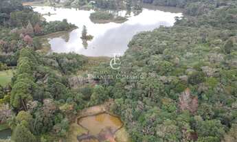 Imagem 2: Chácara à venda em Piraquara, RECREIO DA SERRA, 15000m²