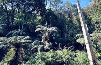 Imagem 3: Chácara à venda em Piraquara, Recreio da Serra, 9.450,00m²