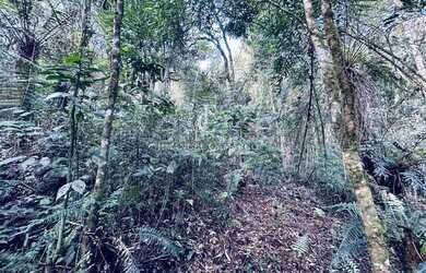 Imagem 5: Chácara à venda em Piraquara, Recreio da Serra, 9.450,00m²