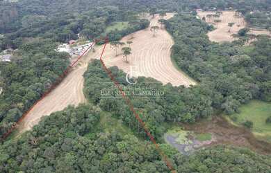 Imagem 3: Chácara à venda em Quatro Barras, Palmitalzinho, 20000m²