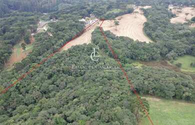 Imagem 4: Chácara à venda em Quatro Barras, Palmitalzinho, 20000m²