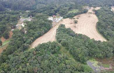 Imagem 7: Chácara à venda em Quatro Barras, Palmitalzinho, 20000m²