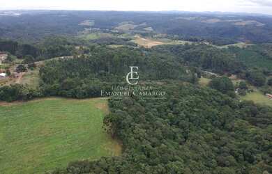 Imagem 5: Chácara à venda em Quatro Barras, Palmitalzinho, 20000m²