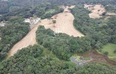 Imagem 6: Chácara à venda em Quatro Barras, Palmitalzinho, 20000m²