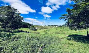Imagem 4: Chácara à venda em Piraquara, Colonia Santa Maria, 160000m²