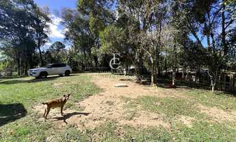 Imagem 3: Chácara com 2 quartos, 5000m², à venda em São José dos Pinhais, Borda do Campo