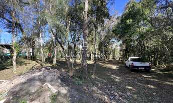 Imagem 4: Chácara com 2 quartos, 5000m², à venda em São José dos Pinhais, Borda do Campo