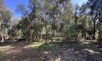 Imagem 5: Chácara com 2 quartos, 5000m², à venda em São José dos Pinhais, Borda do Campo