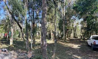 Imagem 6: Chácara com 2 quartos, 5000m², à venda em São José dos Pinhais, Borda do Campo